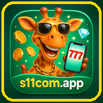 S11 Com